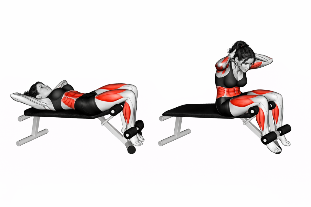 Decline Sit Up