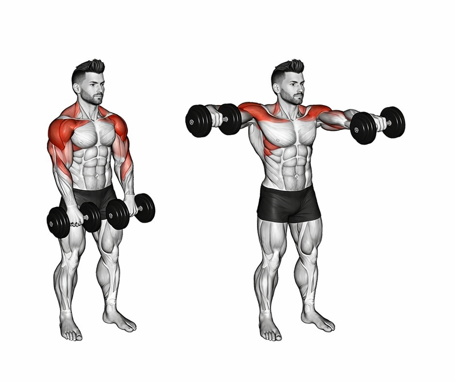 Dumbbell Archer