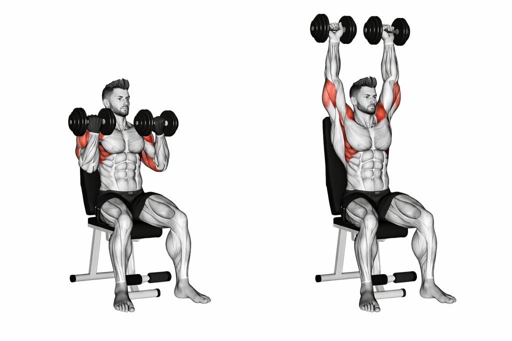 Dumbbell Arnold Press