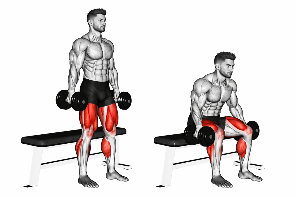 Dumbbell Bench Squat