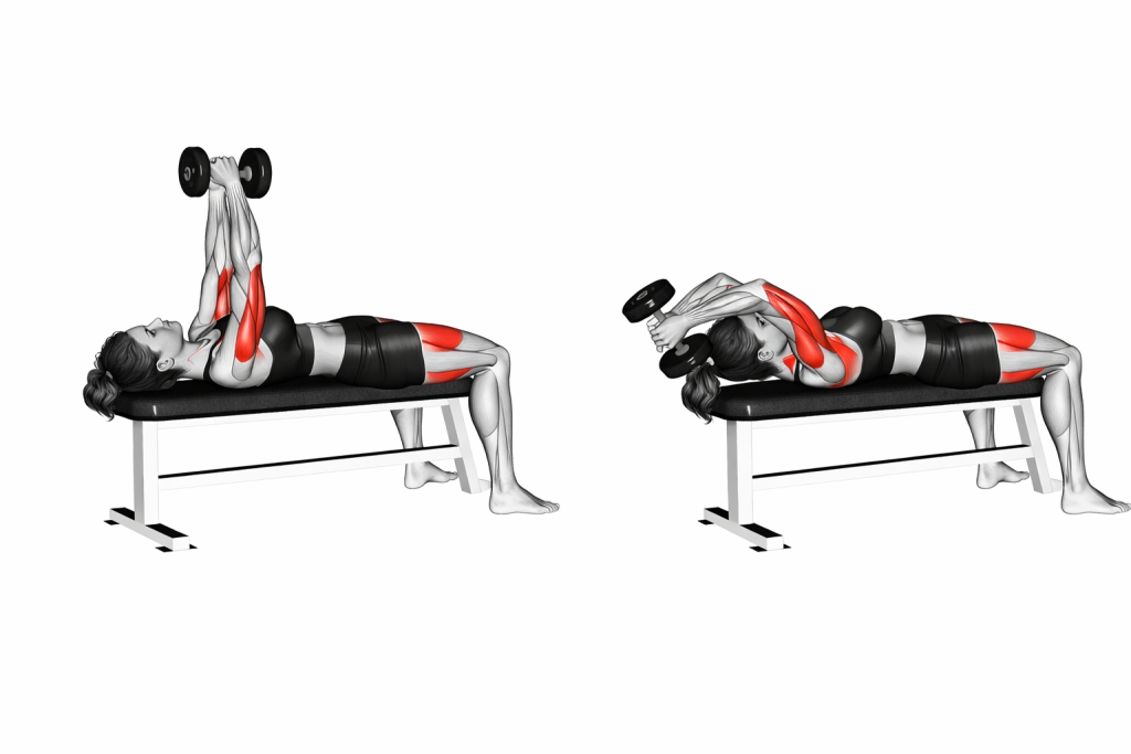 Dumbbell Bent Arm Pullover
