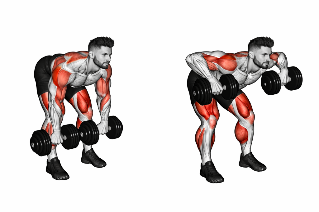 Dumbbell Bent Over Face Pull