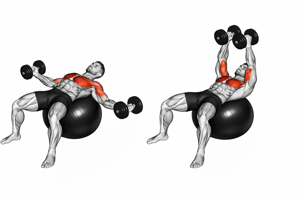 Dumbbell Fly on Exercise Ball