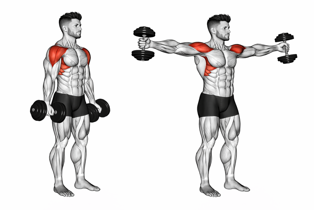 Dumbbell Full Can Lateral Raise