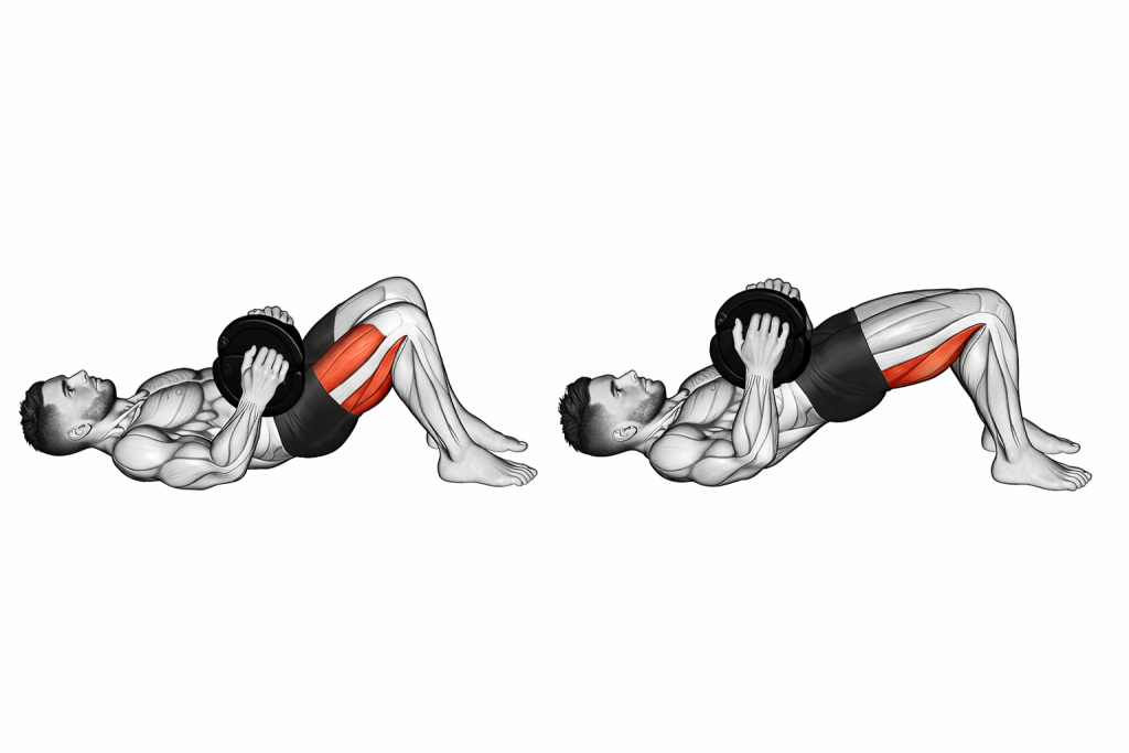 Dumbbell Glute Bridge