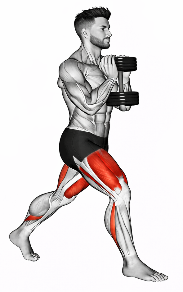 Dumbbell Goblet Split Squat