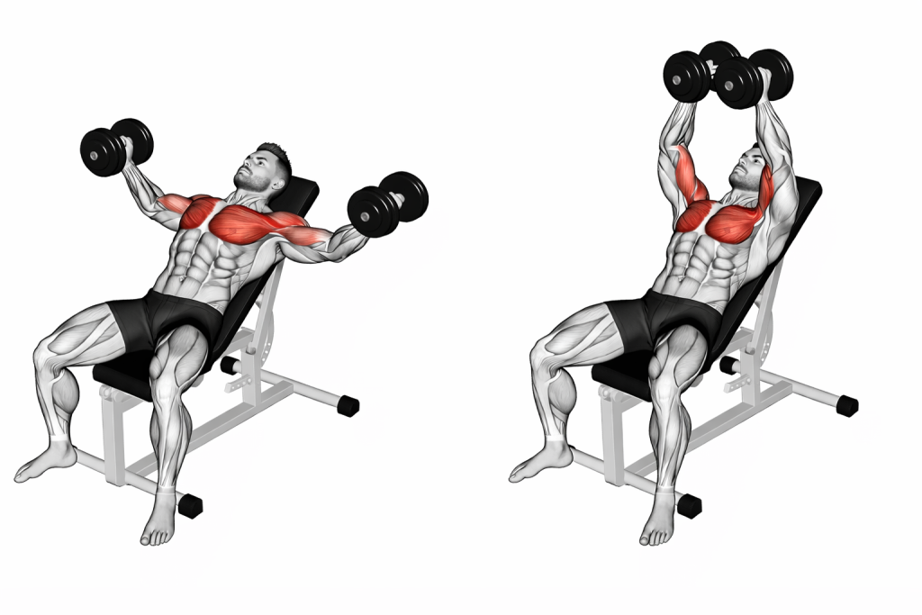 Dumbbell Incline Fly