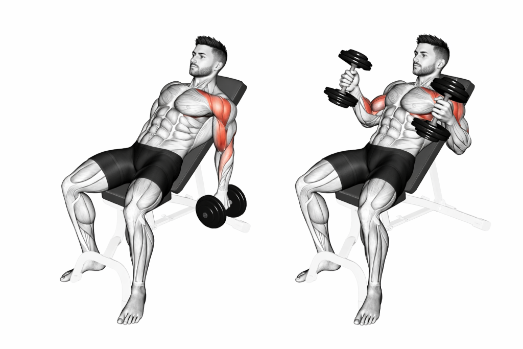 Dumbbell Incline Hammer Curl