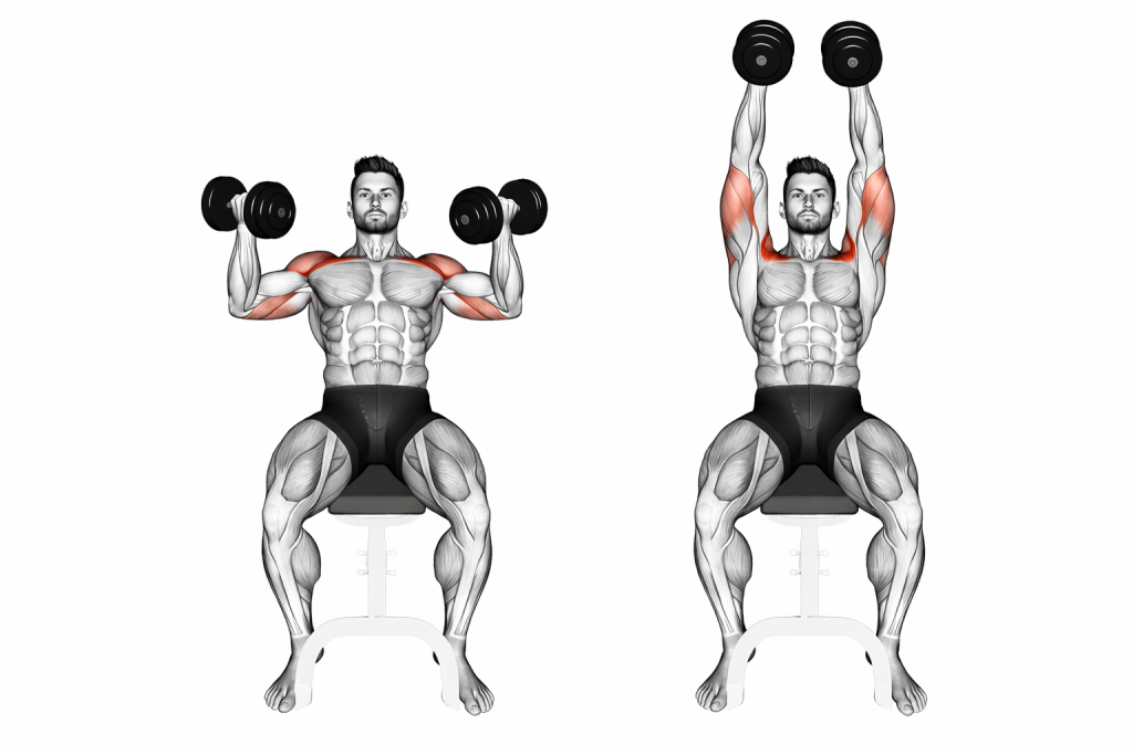 Dumbbell Incline Hammer Press