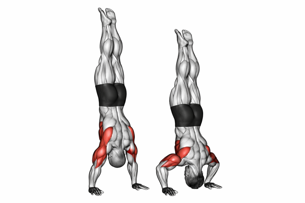 Handstand Push Up