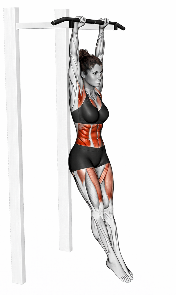 Hanging Hollow Hold