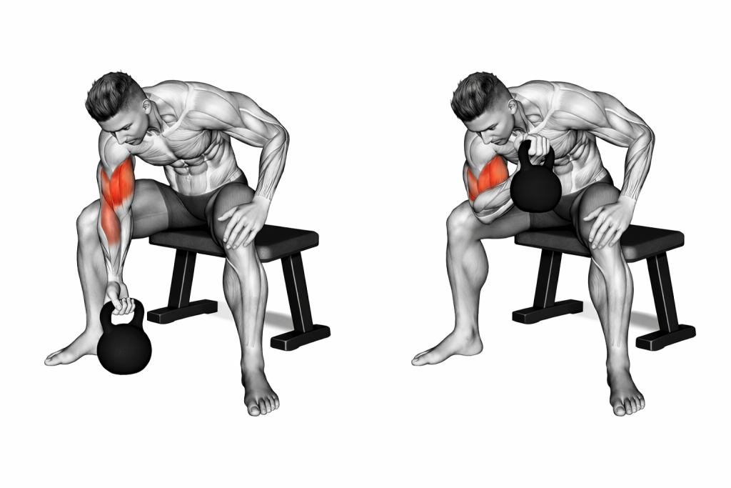 Kettlebell Concentration Curl