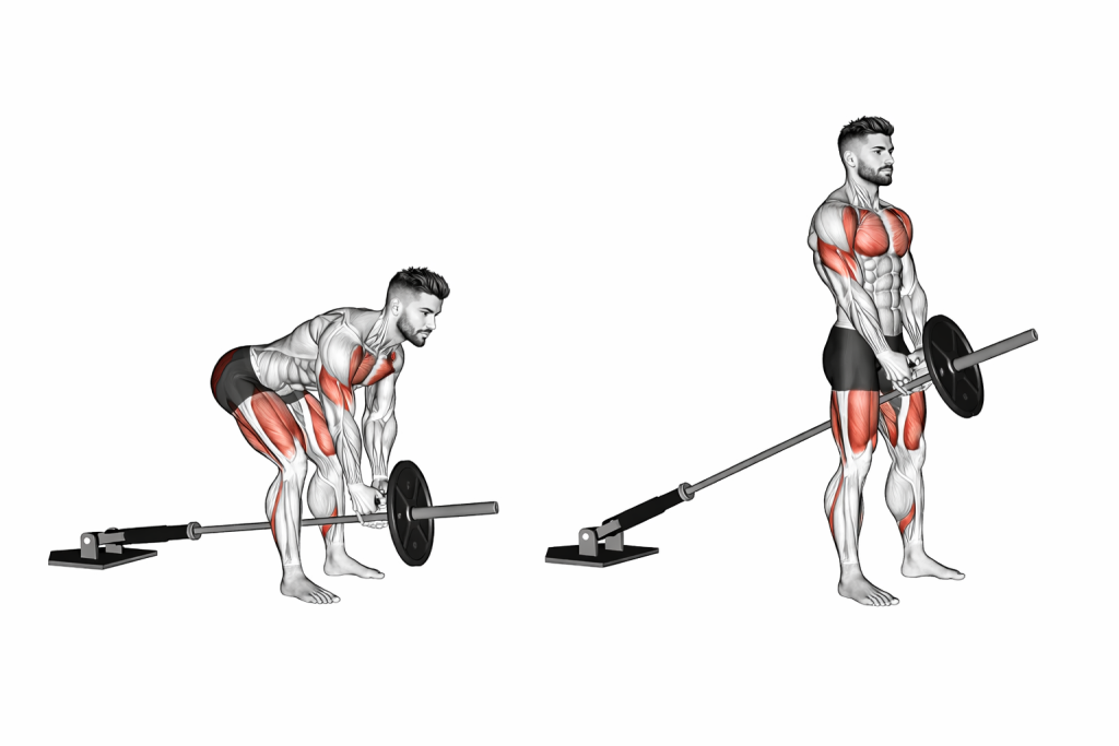 Landmine Romanian Deadlift