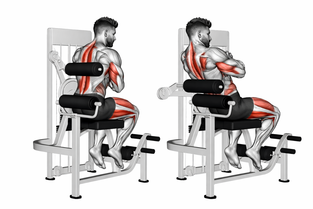 Lever Back Extension