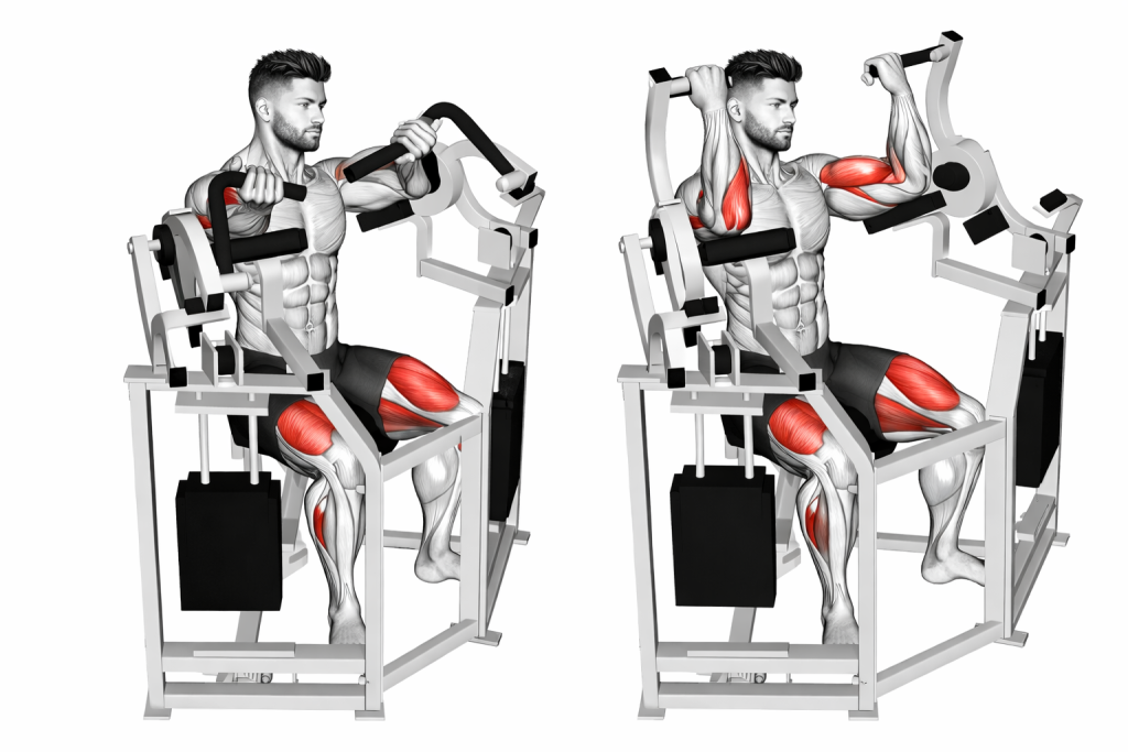 Lever Bicep Curl