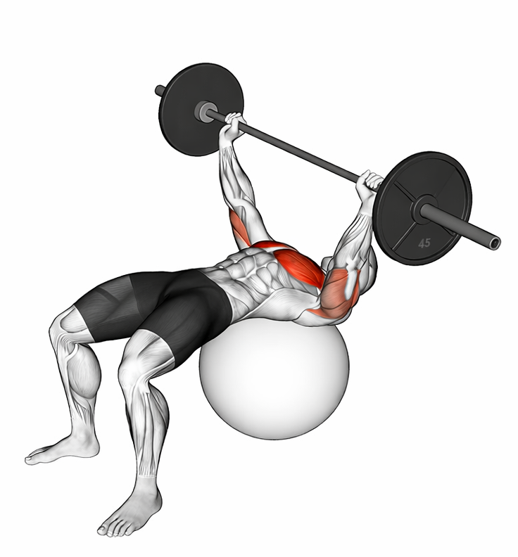Muscular man exercises on balancing ball