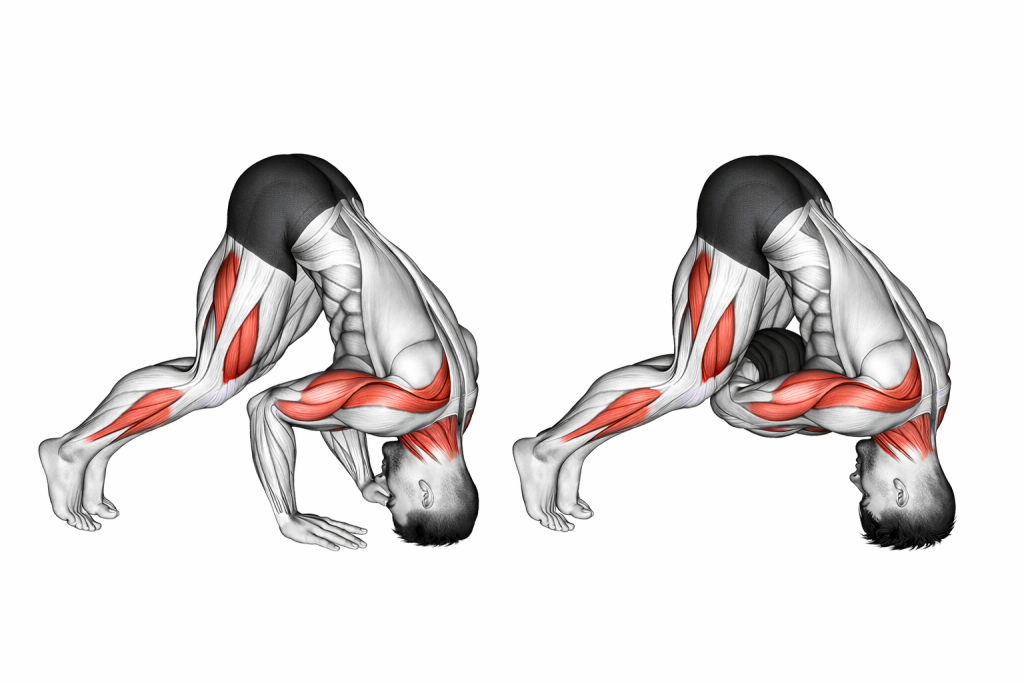 Neck Bridge Prone