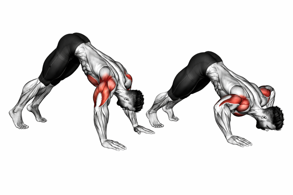 Pike Push Up