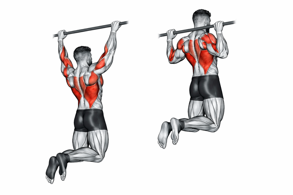 Rear Pull Up