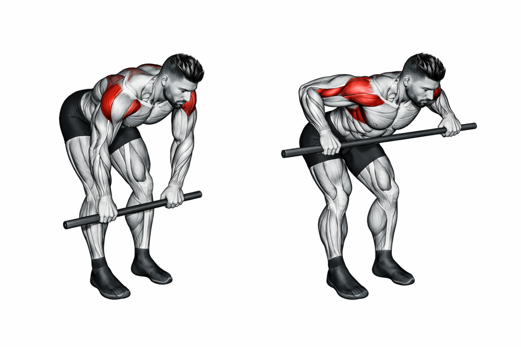 Resistance Band Bent Over Rear Delt Fly