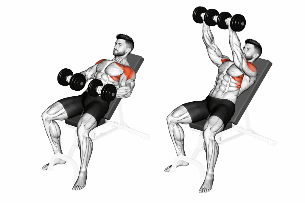 Dumbbell Incline Front Raise