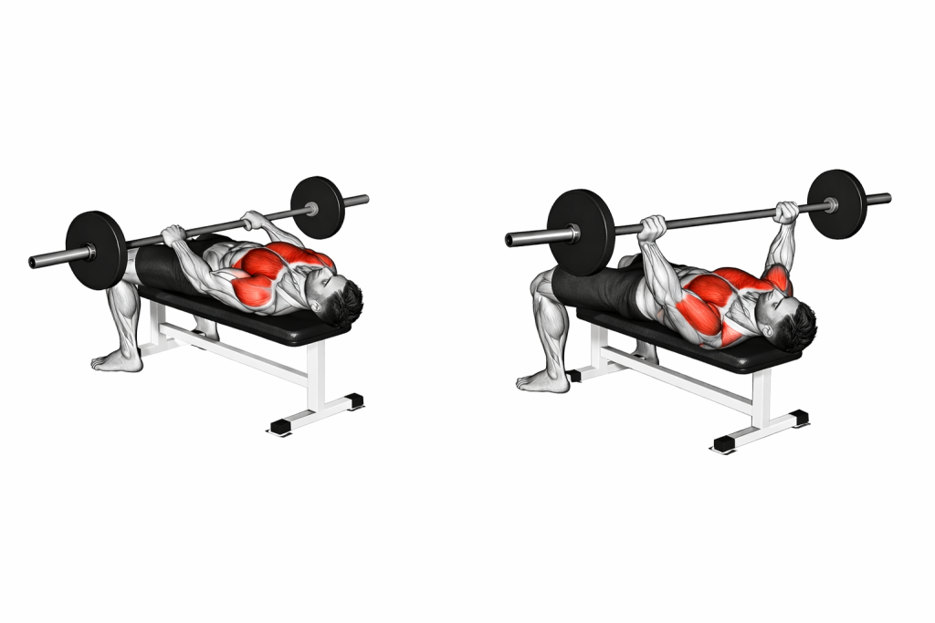 Barbell Front Raise and Pullover
