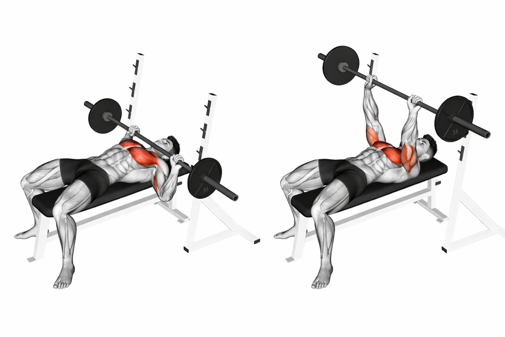 Barbell Guillotine Bench Press