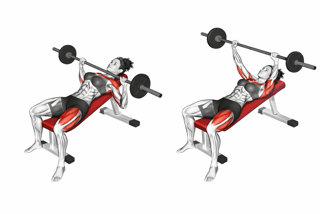 Barbell Incline Bench Press