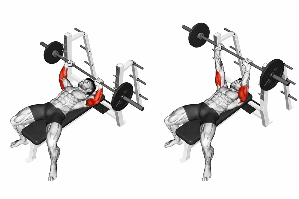 Barbell Lying Extension