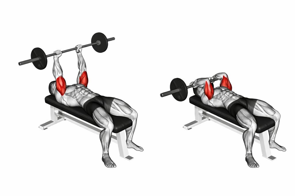 Barbell Lying Triceps Extension