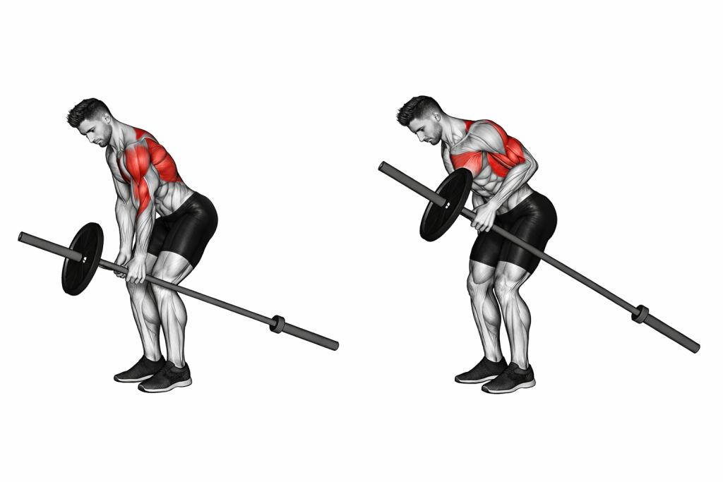 Barbell One Arm Bent Over Row