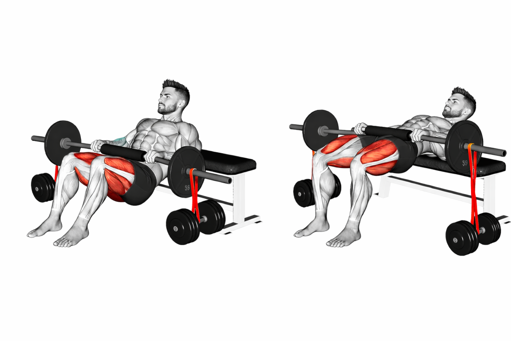 Barbell hip thrust with resistance band