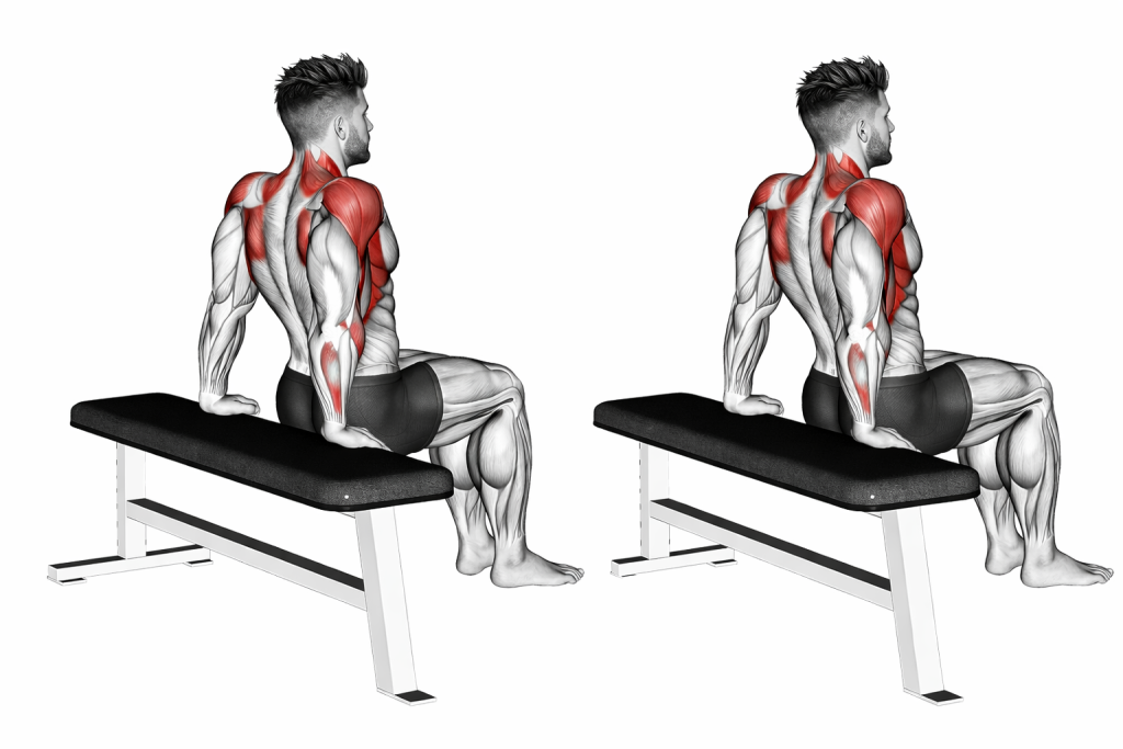 Scapula Dips