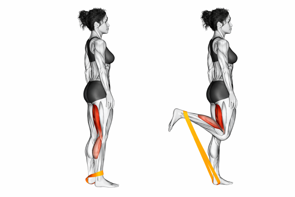 Resistance Band Leg Curl