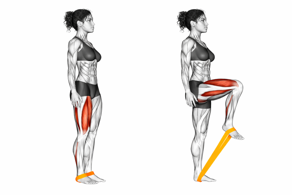 Resistance Band Leg Lift