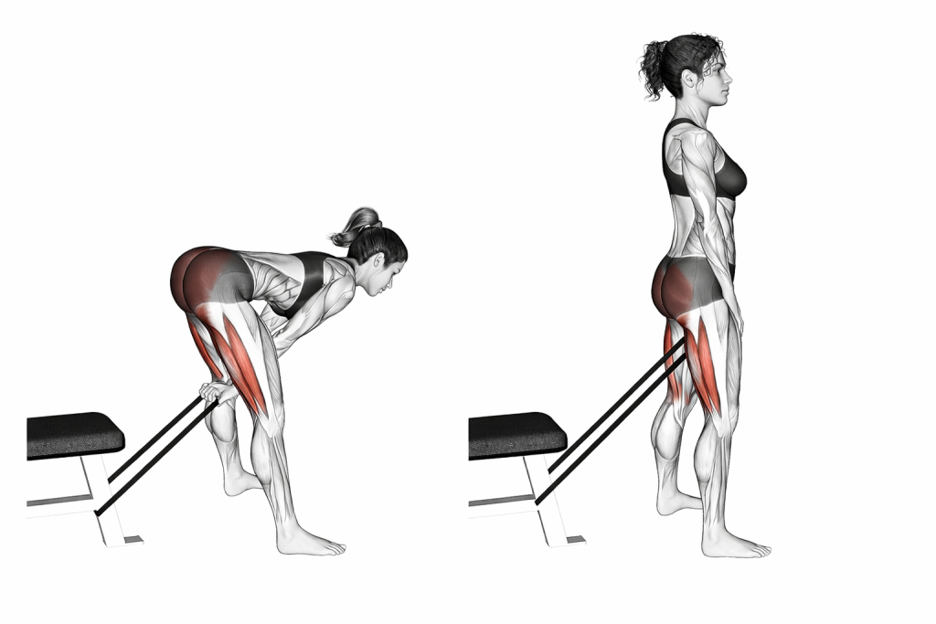 Resistance Band Pull Through