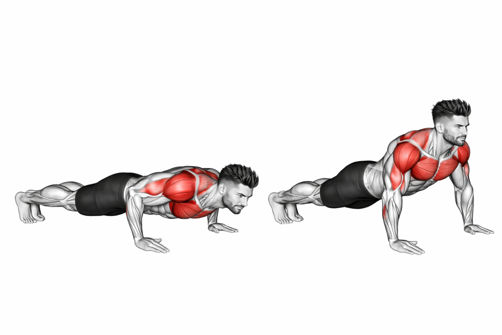 Scapula Push-up