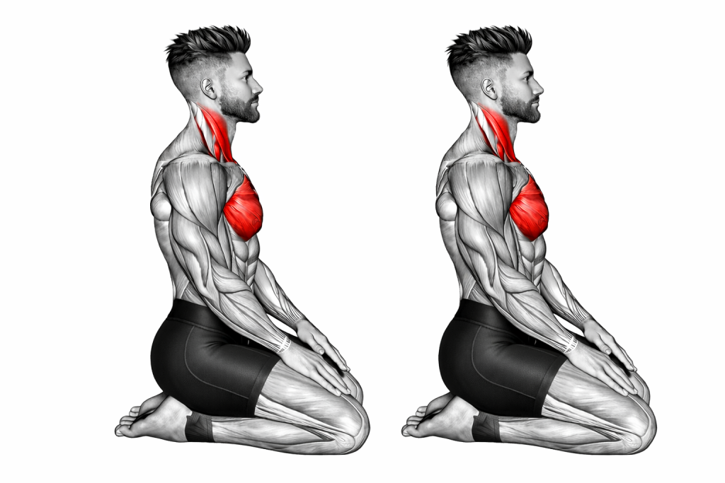 Seated Chin Tuck_