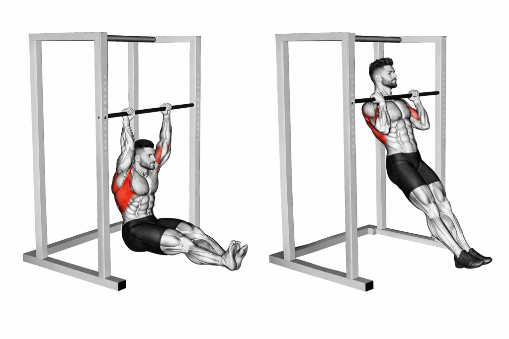 Seated Pull Up