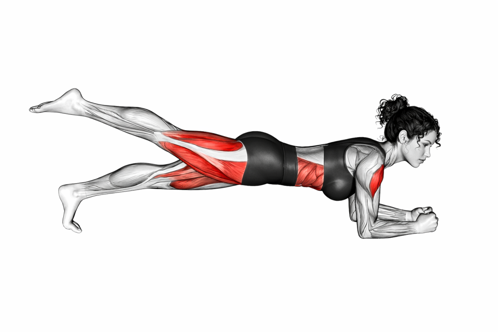 Single Leg Bridge