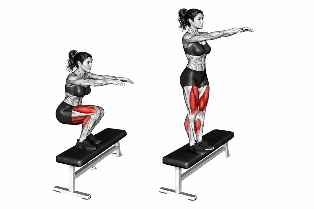Single Leg Step Up