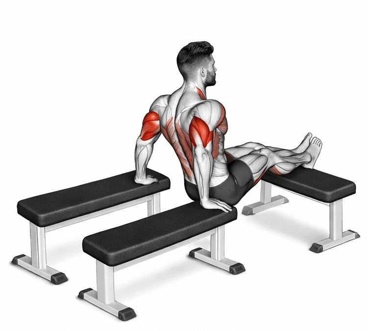 Three Bench Dip