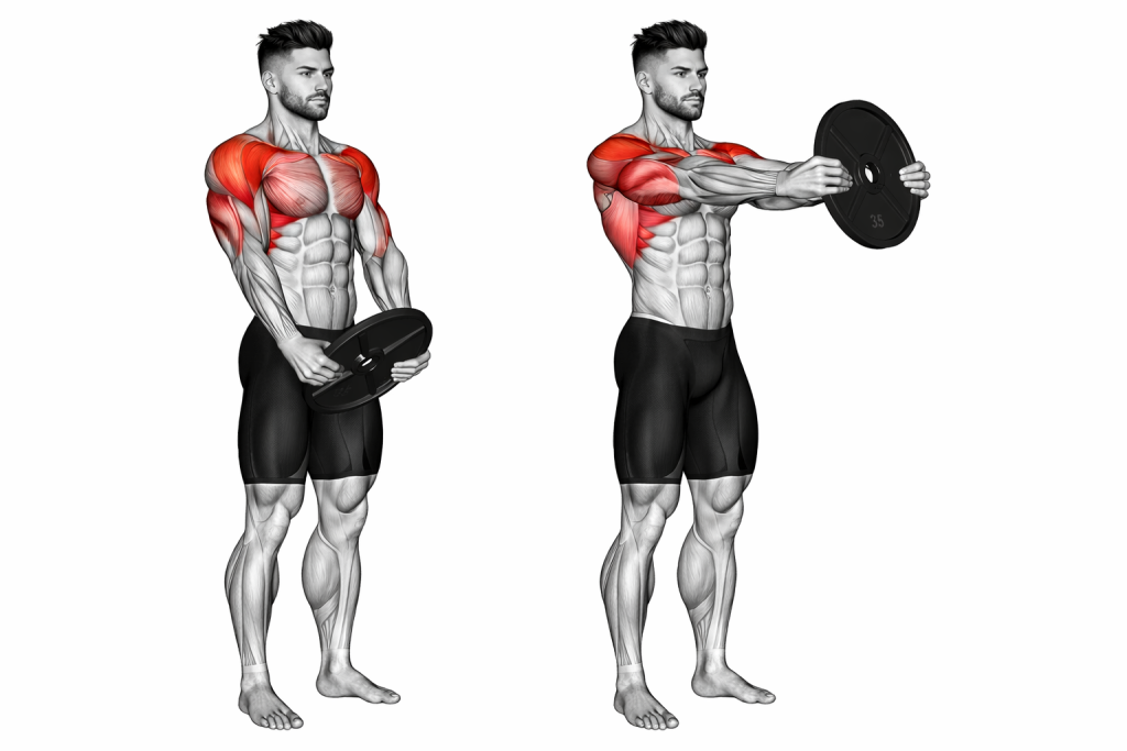 Weighted Front Raise