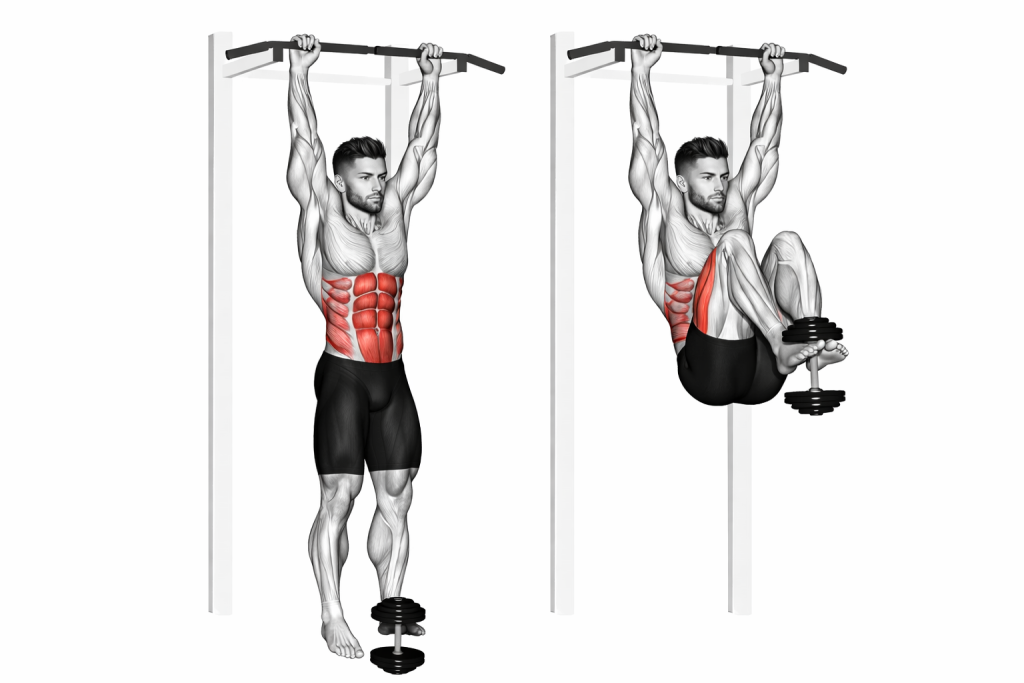 Weighted Hanging Leg Hip Raise